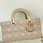 Christian Dior Lady D-Joy Bag Apricot
